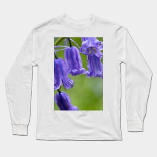 Bluebells (Hyacinthoides non-scripta) (B570/1540) Long Sleeve T-Shirt